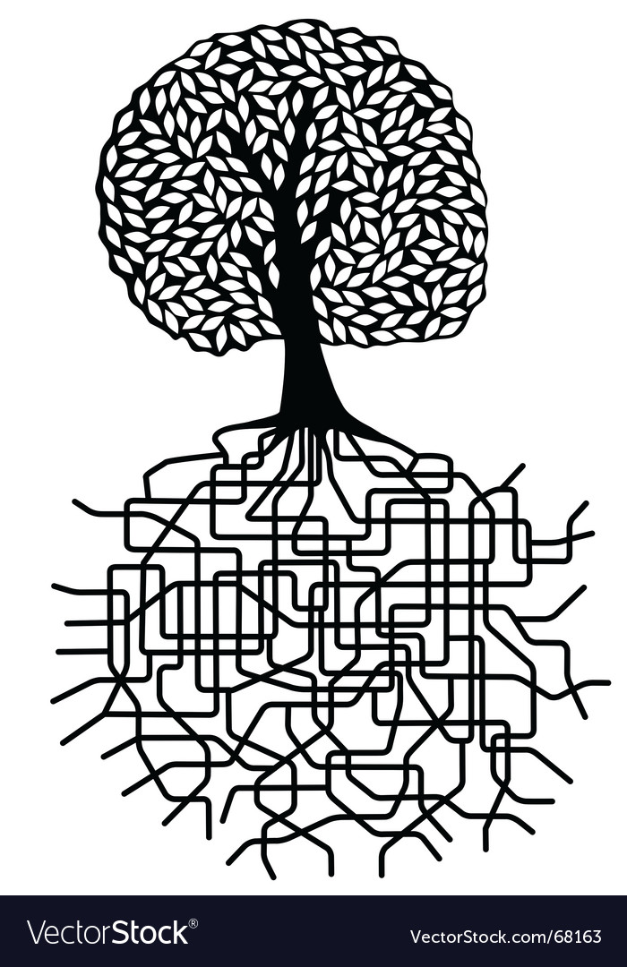 Root System Grid