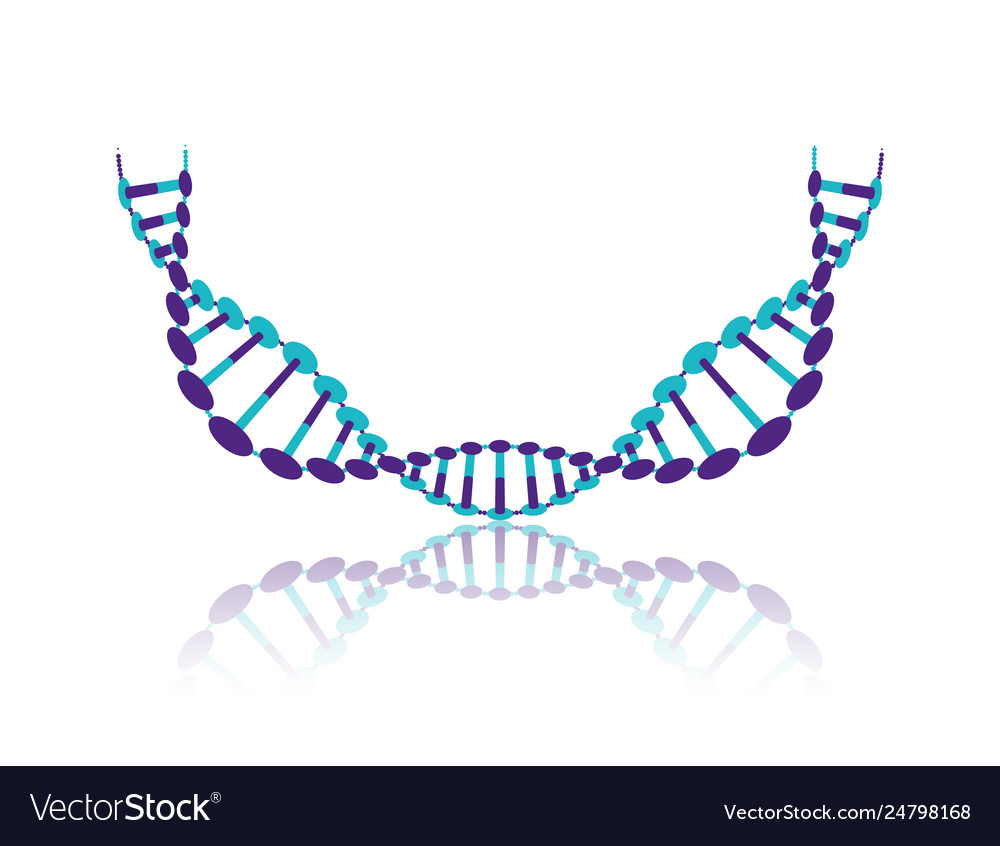 Dna chain with curve science colorful icon