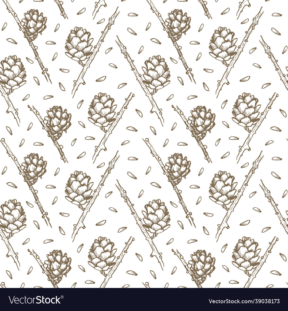 Seamless pattern with larch cones vector image Seamless pattern with larch cones