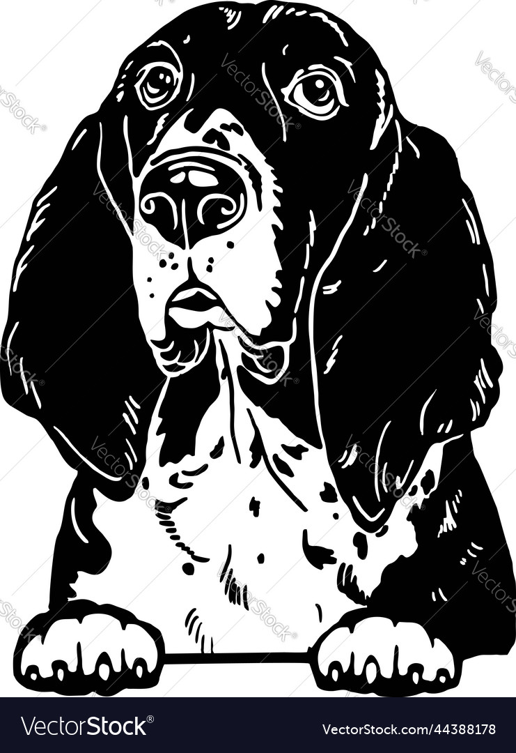 Basset hound - funny dog file cut stencil Vector Image