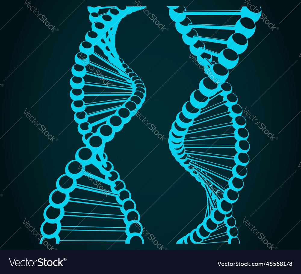 Dna Royalty Free Vector Image - VectorStock