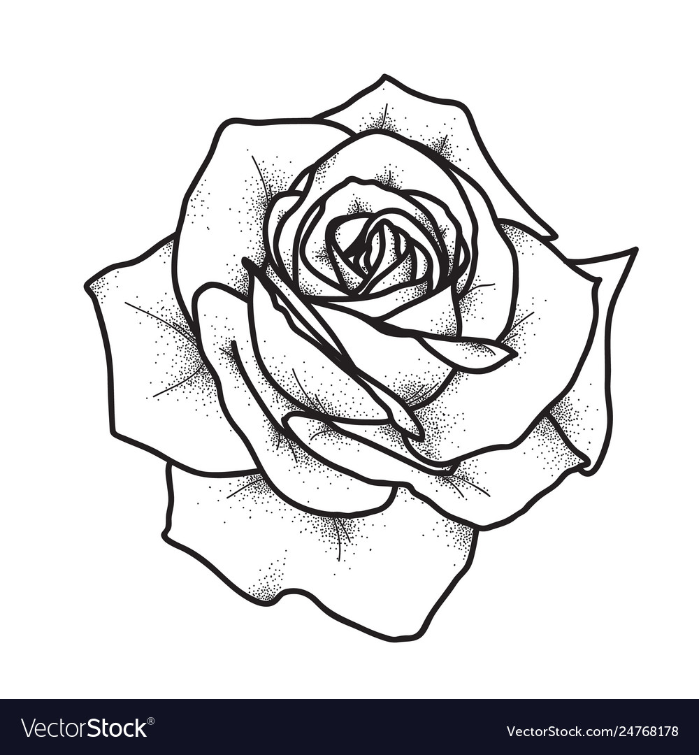 vintage rose tattoo pattern