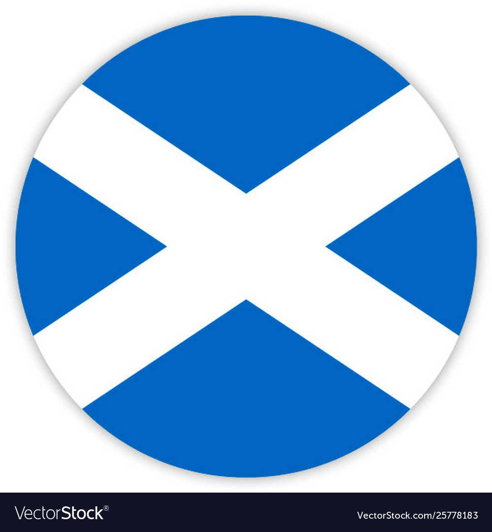 Simple round flag Vector Image Simple round flag