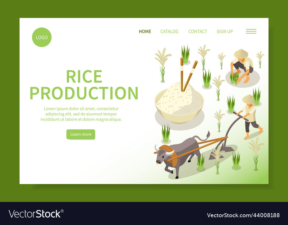 Rice production isometric website Royalty Free Vector Image