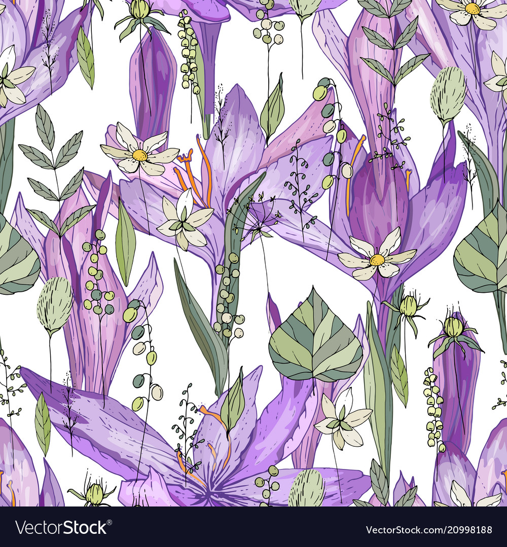 Seamless pattern with crocus and herbs endless vector image Seamless pattern with crocus and herbs endless