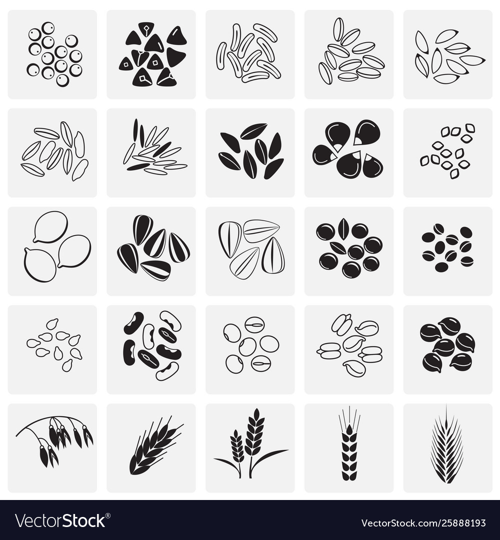 Cereal related icons set on background for graphic vector image Cereal related icons set on background for graphic