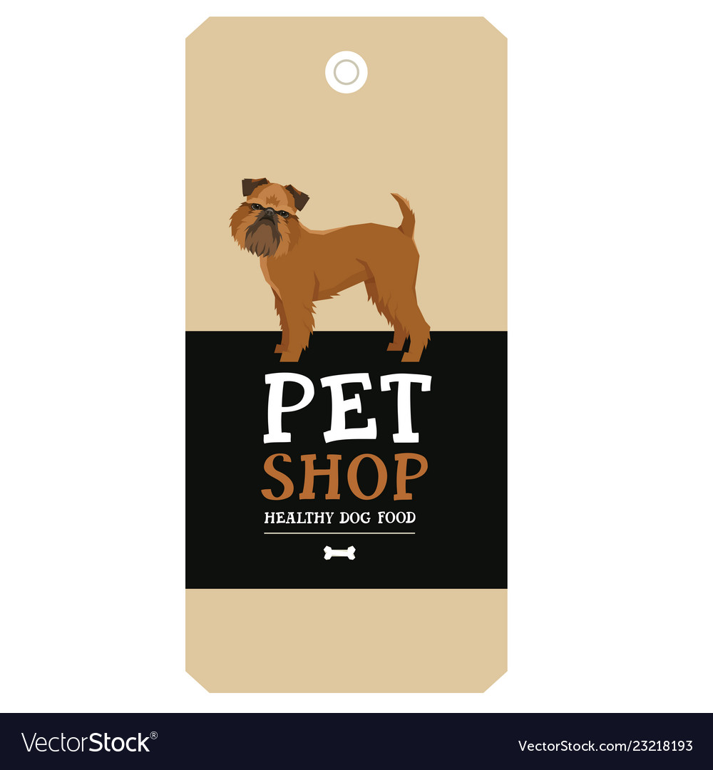 Poster pet shop design griffon bruxellois