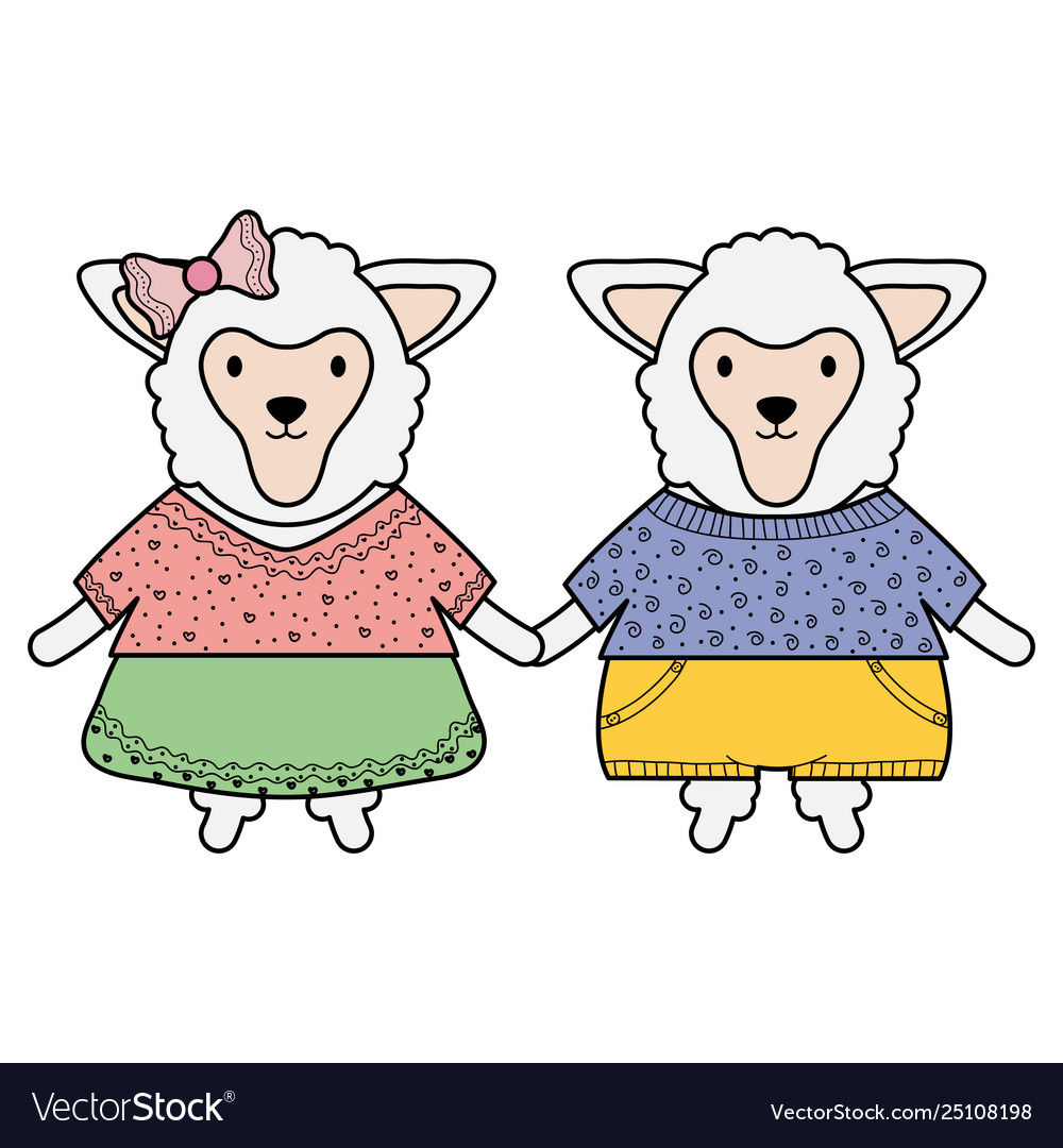 Cute sheeps couple childish characters