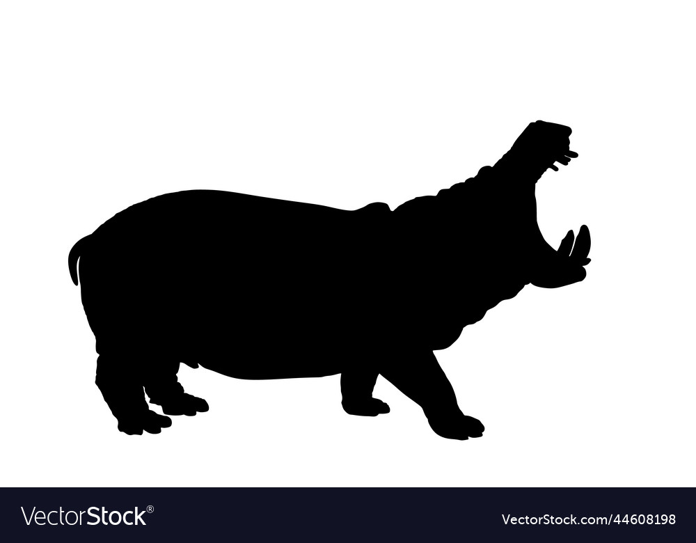 Open jaws hippo silhouette Royalty Free Vector Image