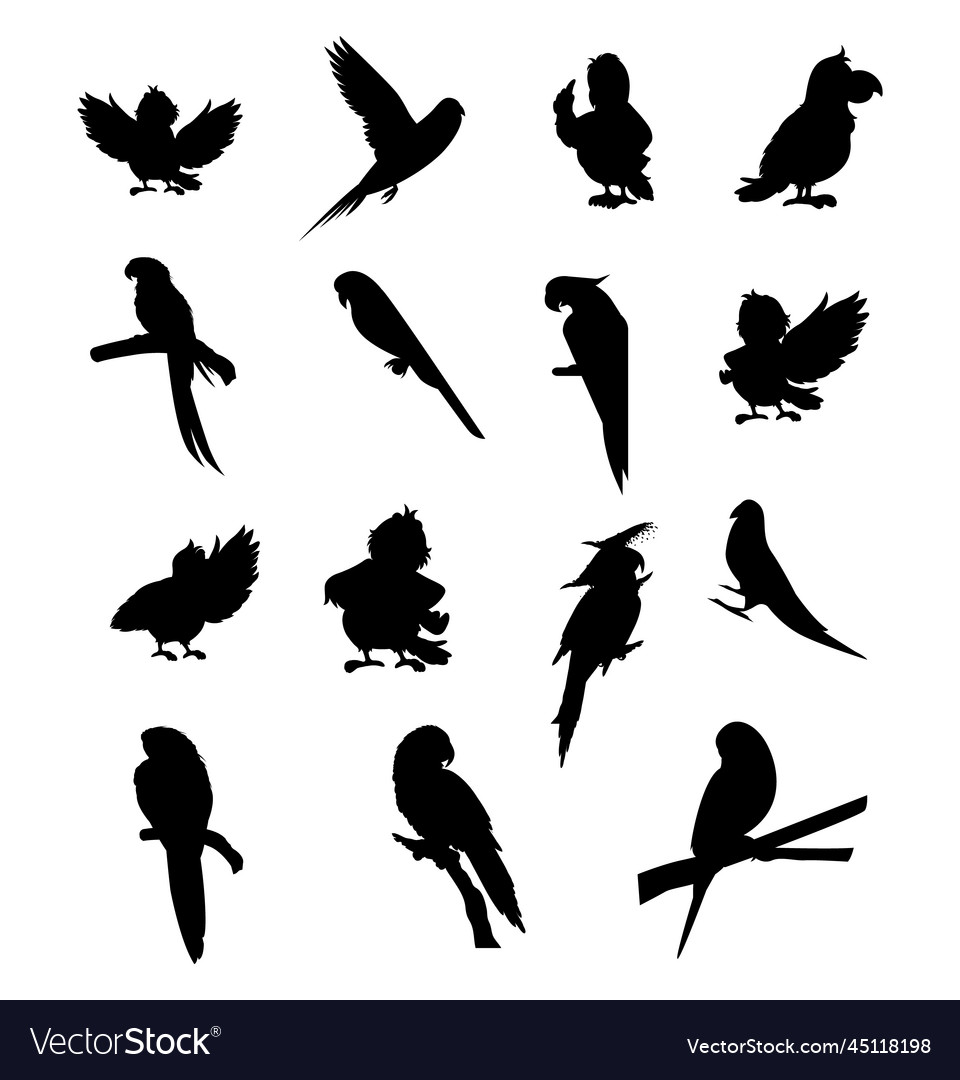 Parrot Bird Icon Set - Flat Style