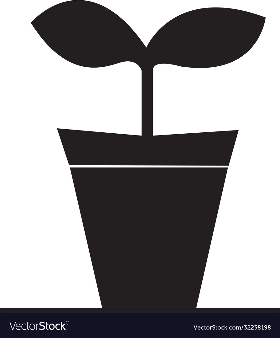 Tree growing image