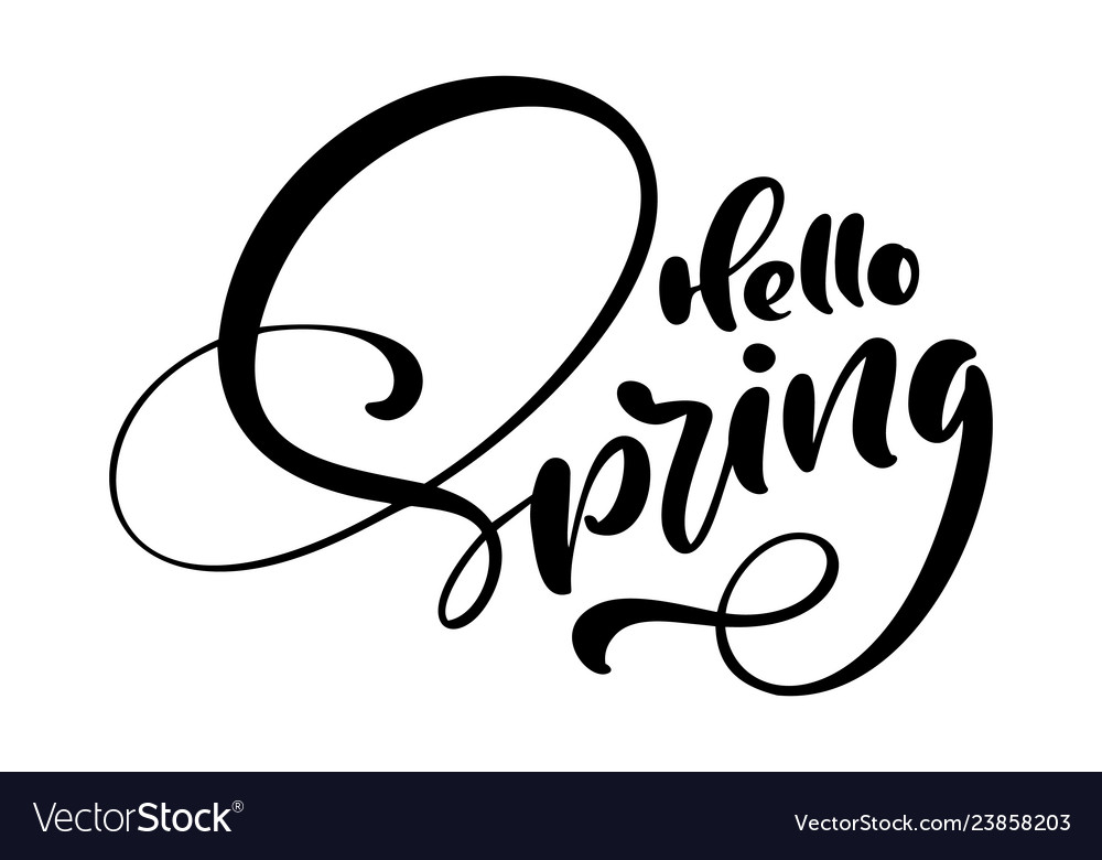 Calligraphy lettering phrase hello spring