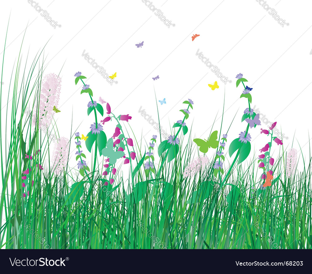 Grass Royalty Free Vector Image - VectorStock