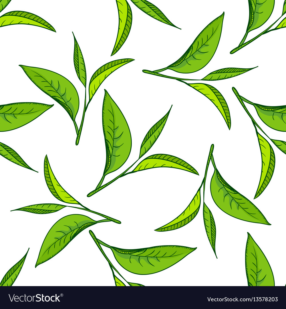 Green Leafes PNG Image, Green Leaf Vector, Tea Pattern, Decorative Pattern,  Leaf Pattern PNG Image For Free Download