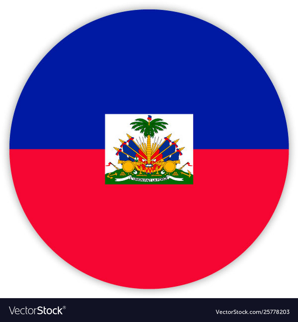 Simple round flag vector image Simple round flag