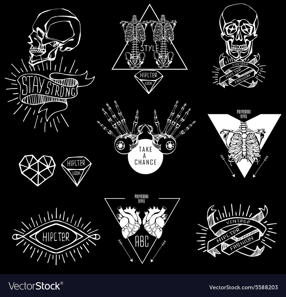 Skeleton Anatomy Labels Set