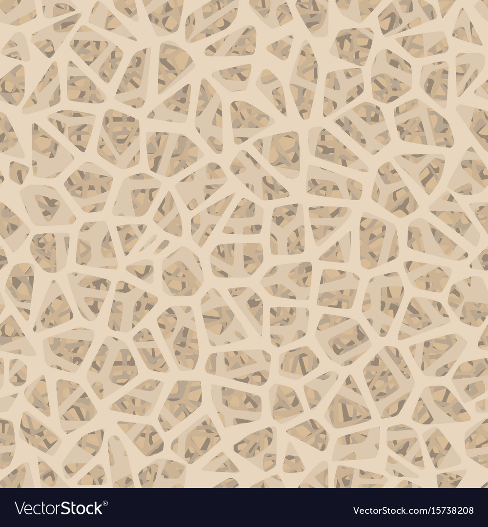 Bone inside structure seamless pattern eps 10