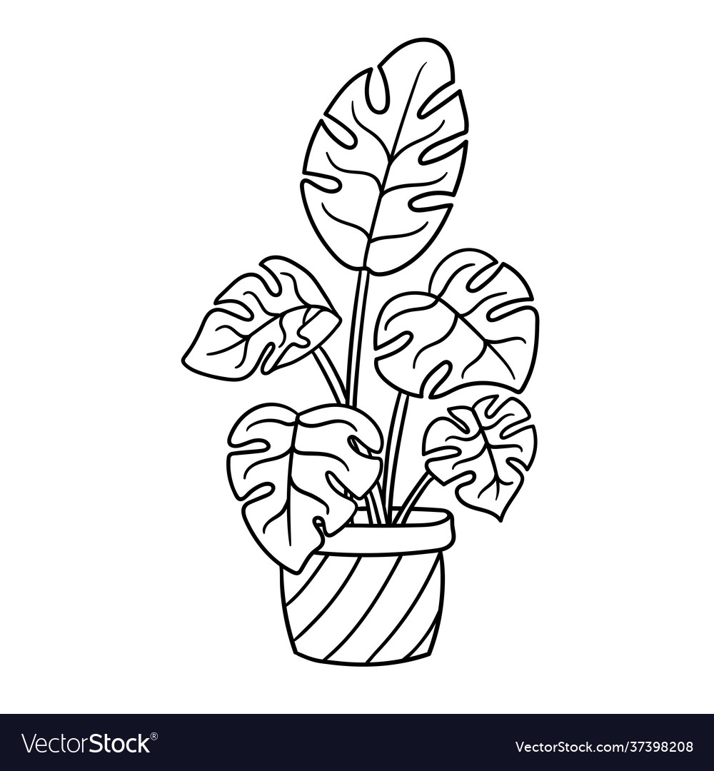 Potted houseplant coloring page Royalty Free Vector Image