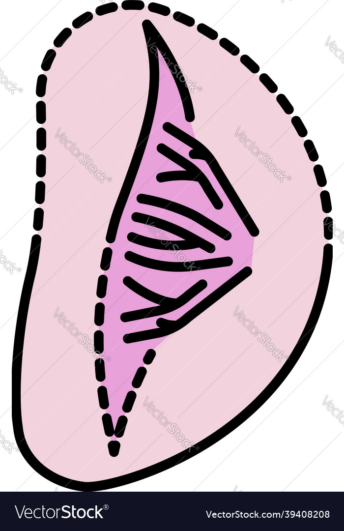 Sick spleen icon color outline Royalty Free Vector Image