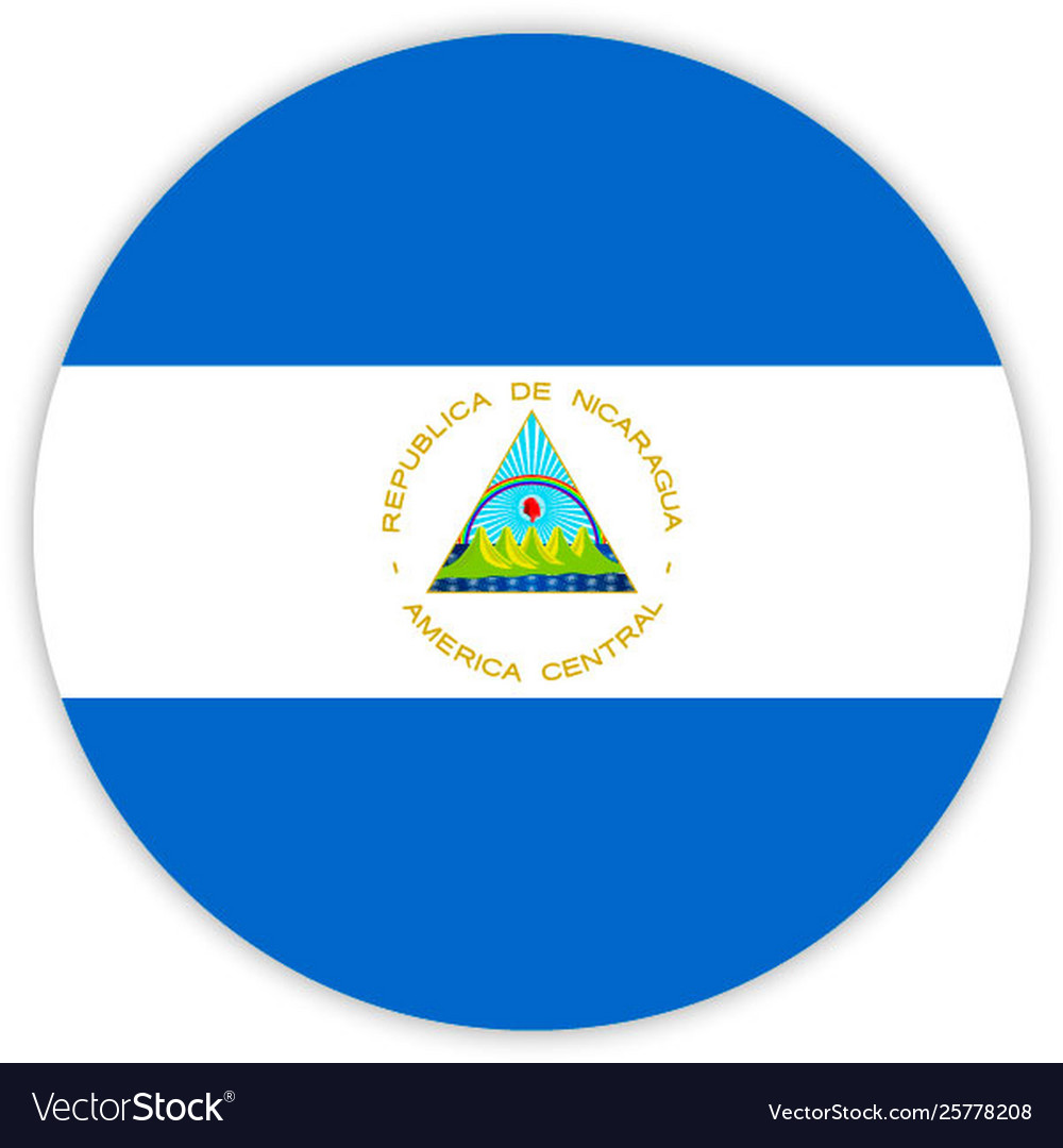 Simple round flag vector image Simple round flag