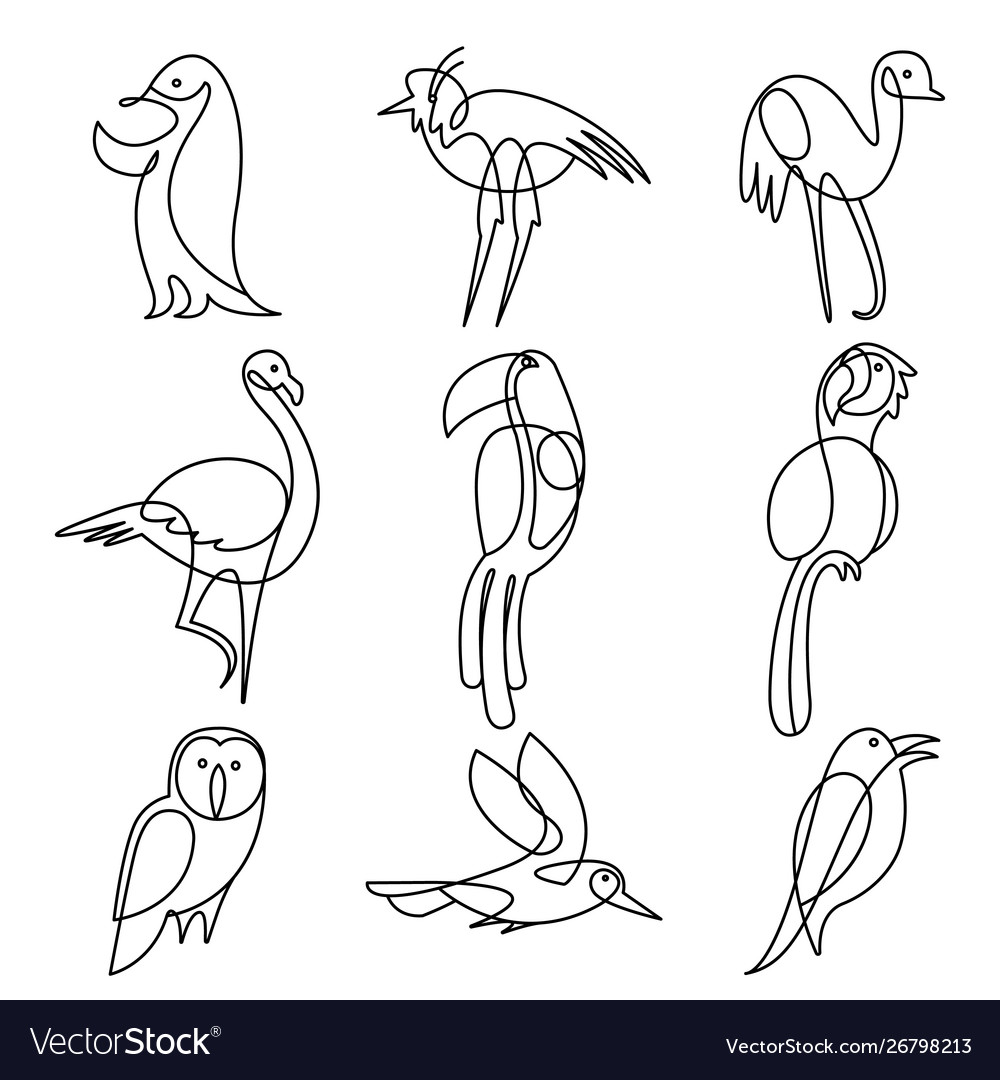 Birds continuous line drawing elements set Vector Image