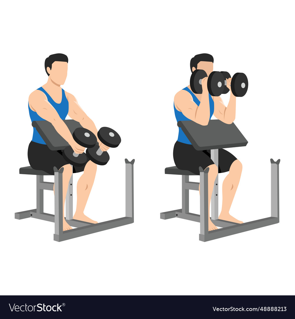 Man Doing Seated Dumbbell Preacher Bicep Hammer Vector Image