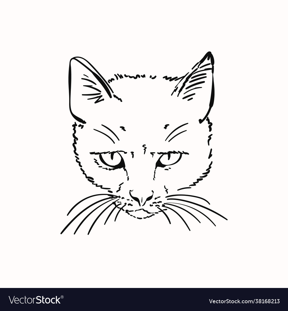 Black cat angry face hand drawn Royalty Free Vector Image