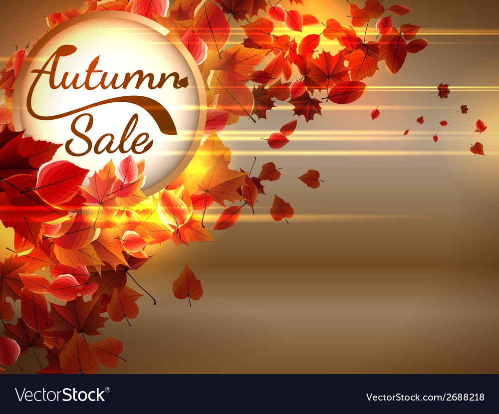 Autumn sale background with copyspace plus eps10 Vector Image