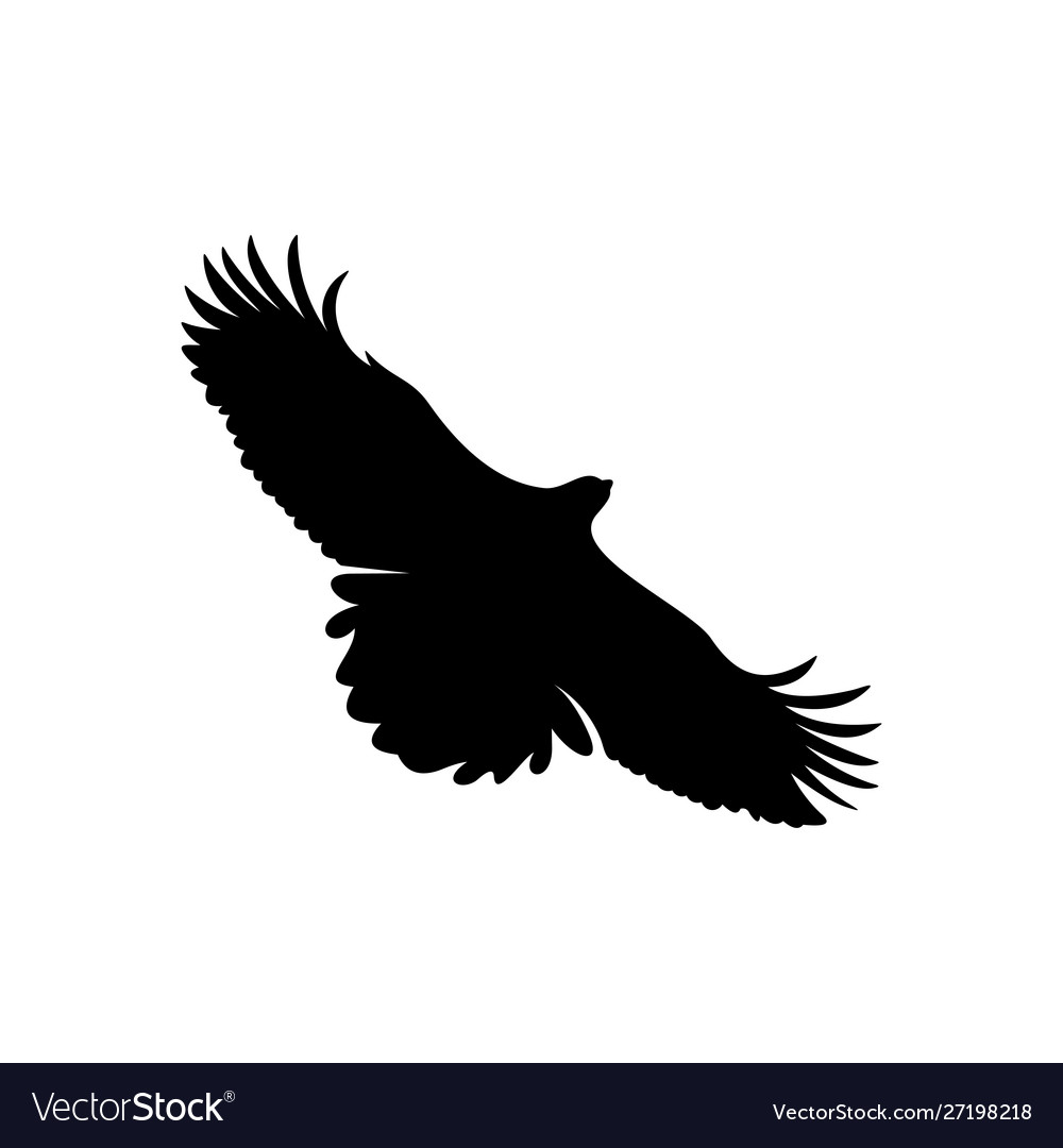 Eagle logo design template Royalty Free Vector Image