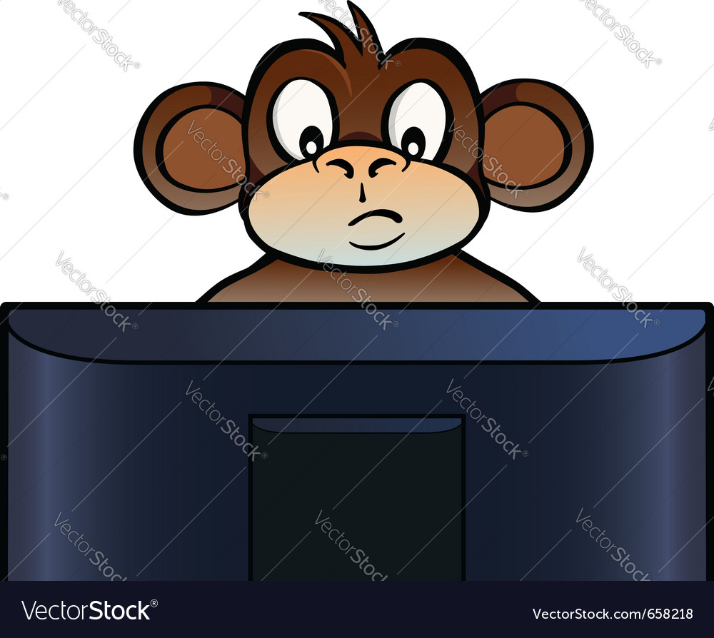 Monkey Observing Computer Screen