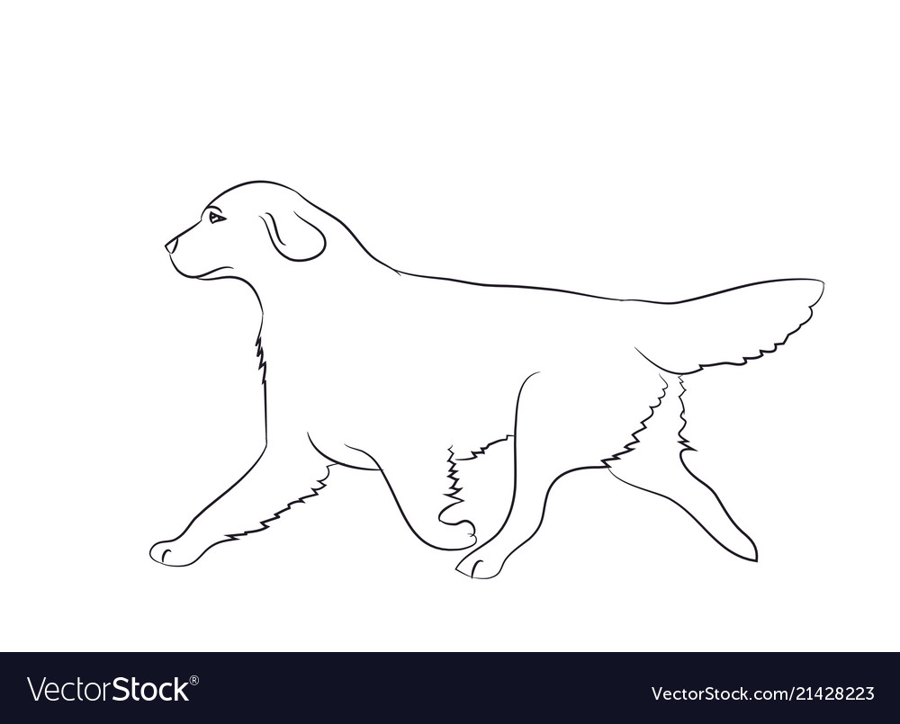 greyhound running drawing