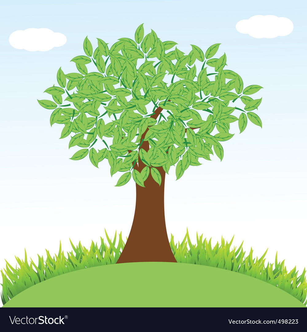 Tree on landscape