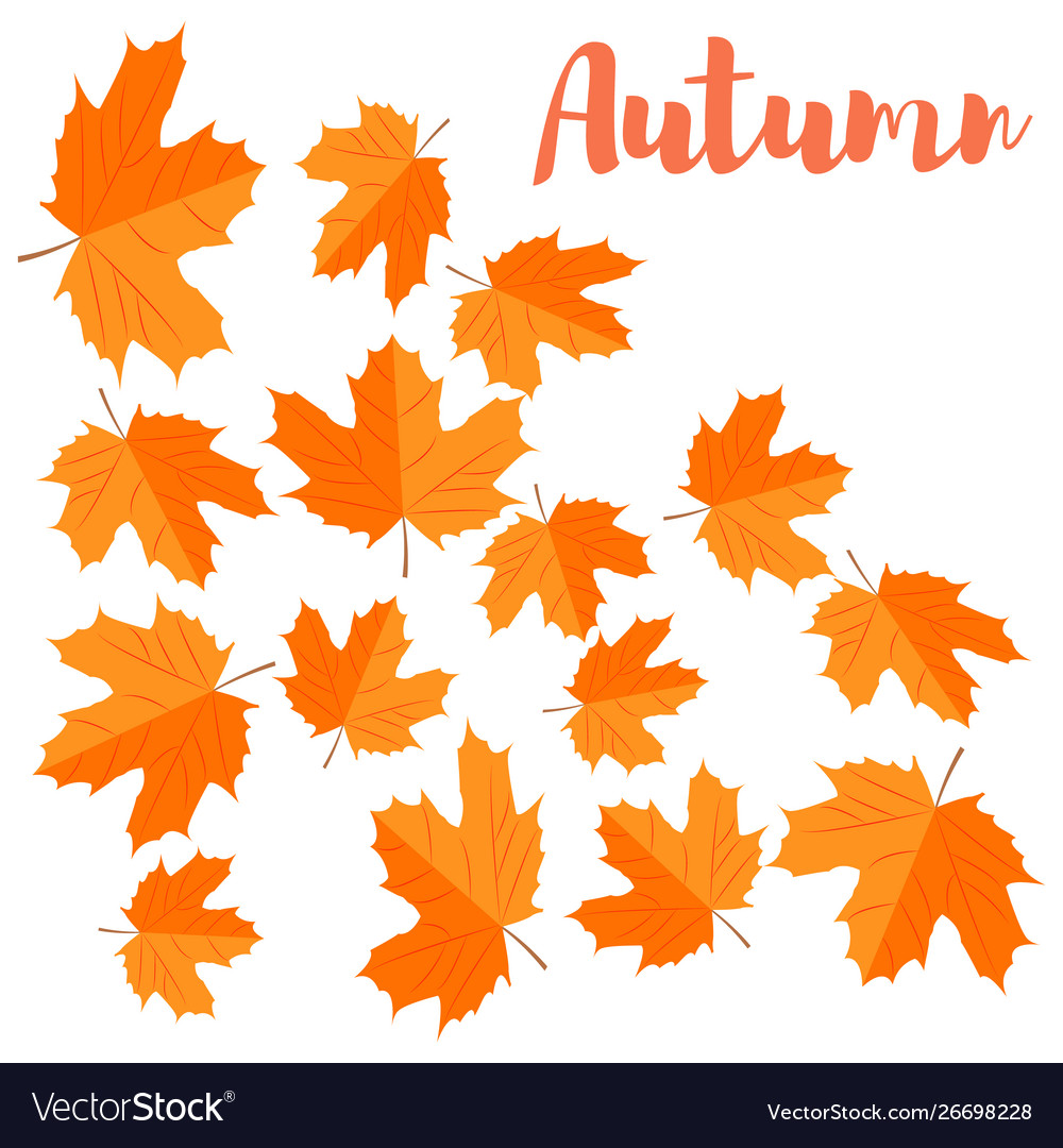 Autumn background falling yellow maple leaves