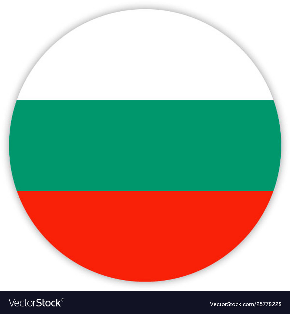 Simple round flag vector image Simple round flag