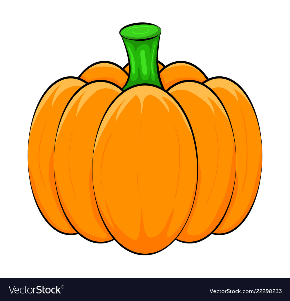 Pumpkin symbol icon design beautiful isolated on Vector Image