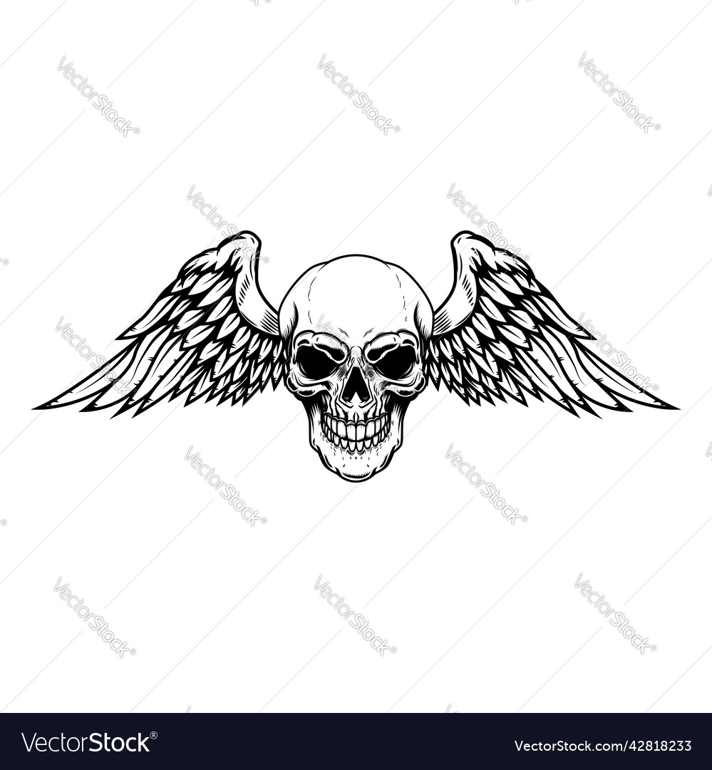 Winged skull design element for emblem sign vector image Winged skull design element for emblem sign