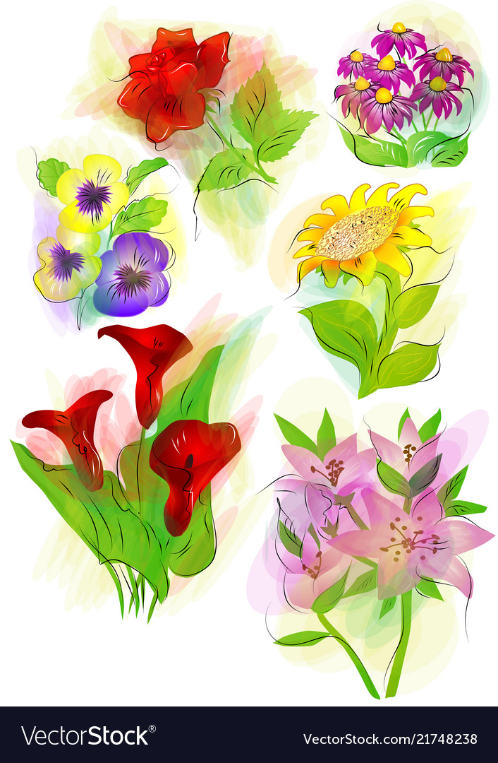 Set of flowers on white