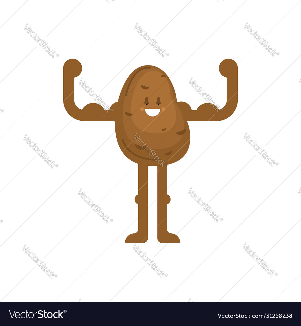 Strong potato powerful vegetable healthy food Vector Image