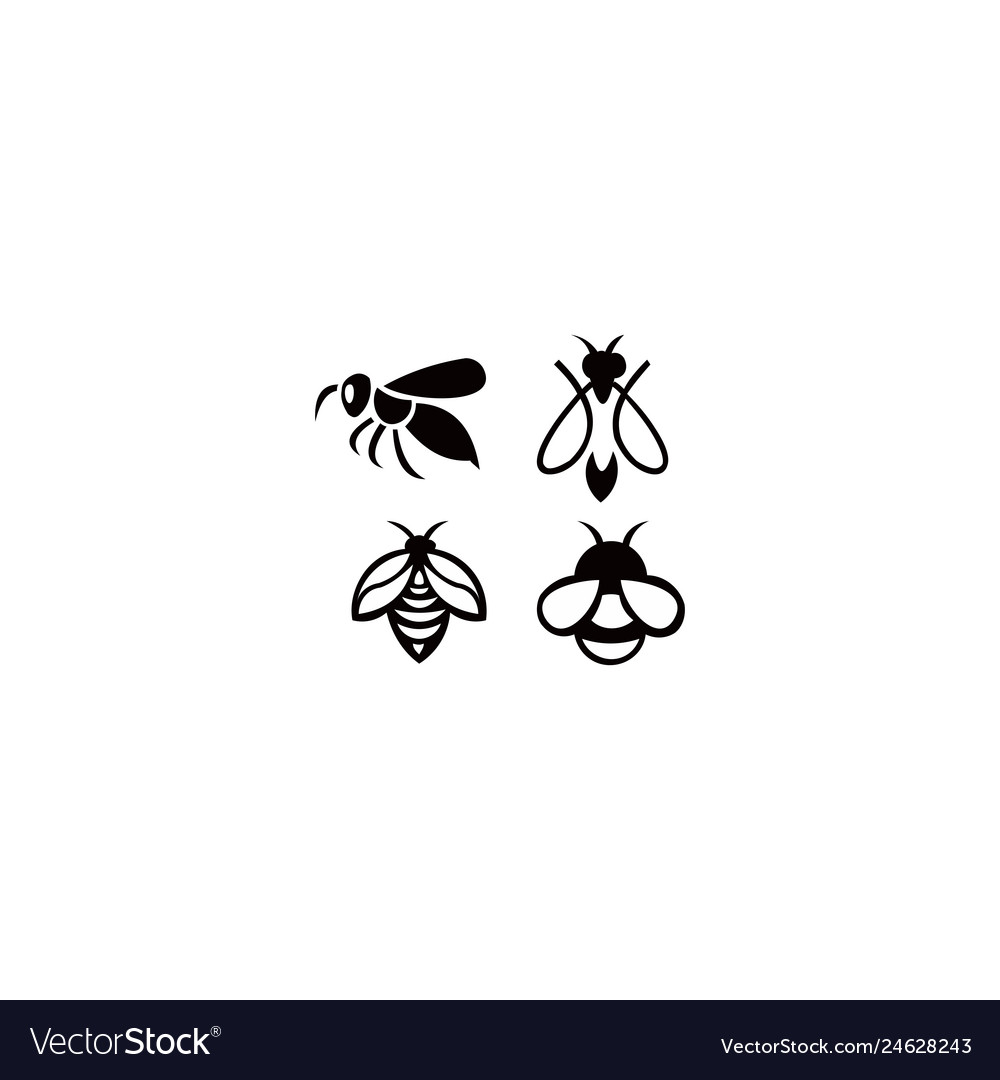 Bee animal Royalty Free Vector Image - VectorStock