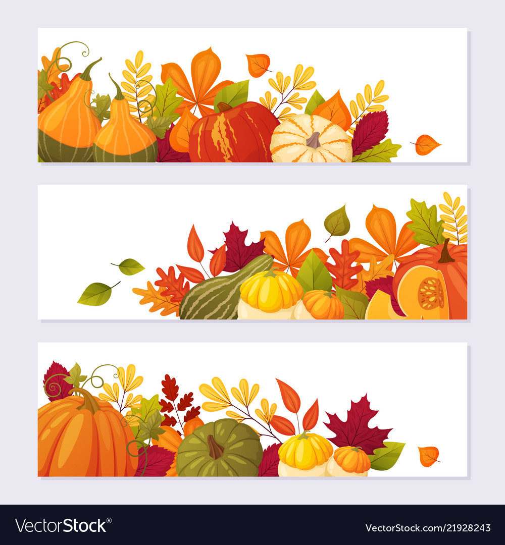 Set autumn banners vector image Set autumn banners