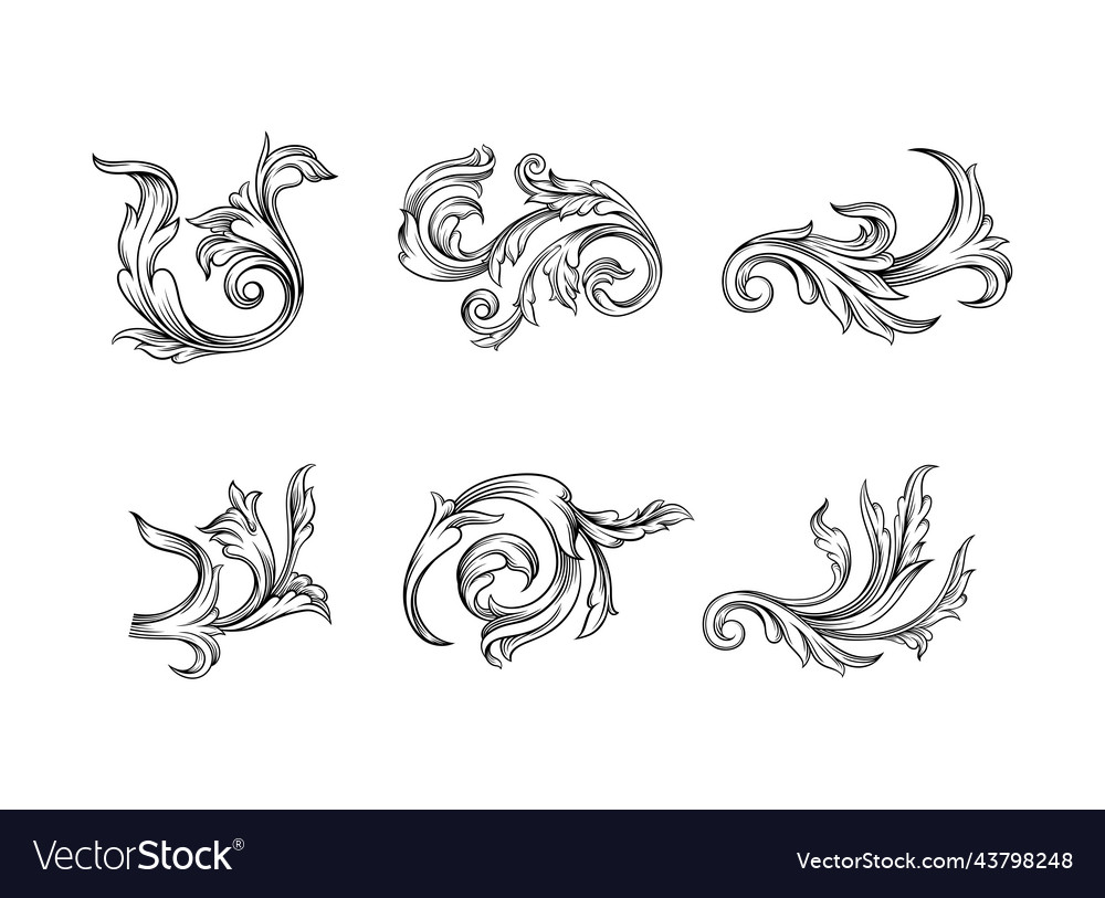 Baroque scroll as element of ornament and graphic