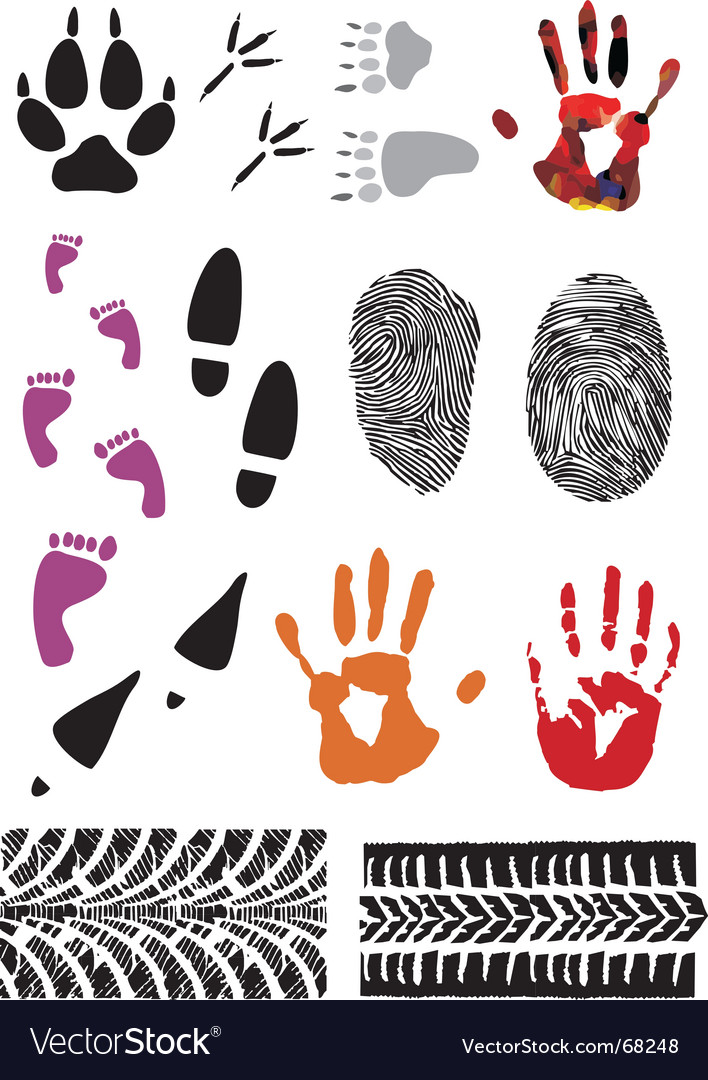 Footprint and Print Set