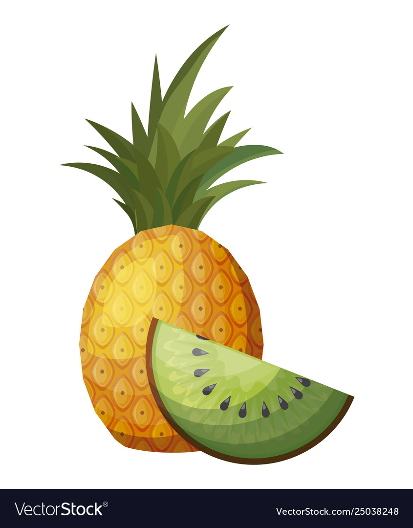 Fresh Pineapple With Slice Kiwi Fruits Royalty Free Vector 1080