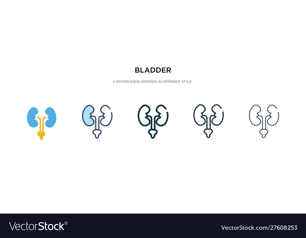 Bladder icon in different style two colored