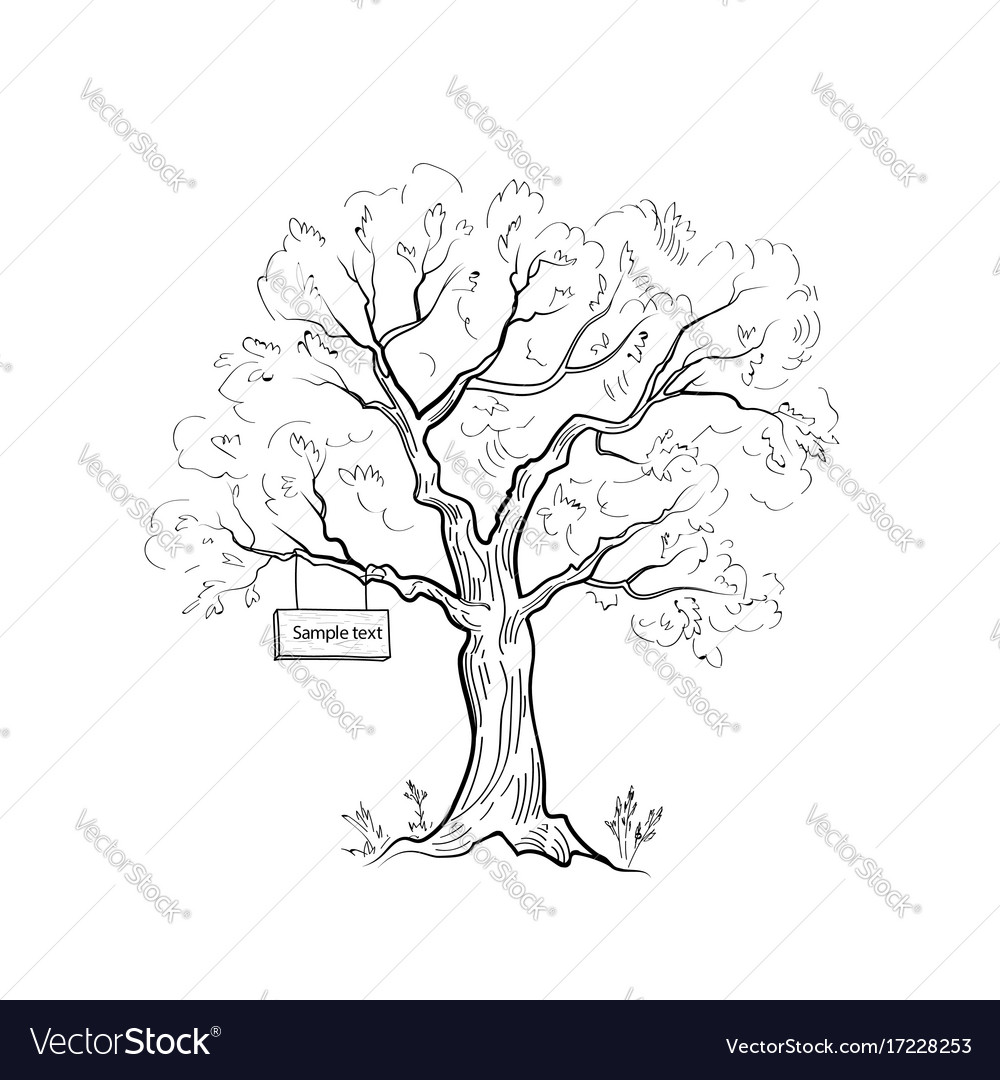 Tree arrow sign summer nature landscape outdoor