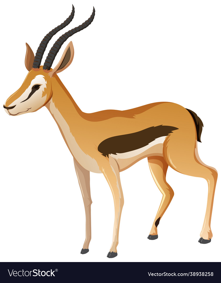 Animal cartoon character impala on white