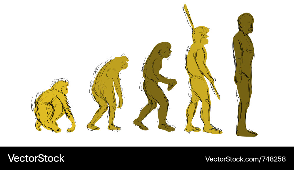 Evolution handdraw Royalty Free Vector Image - VectorStock