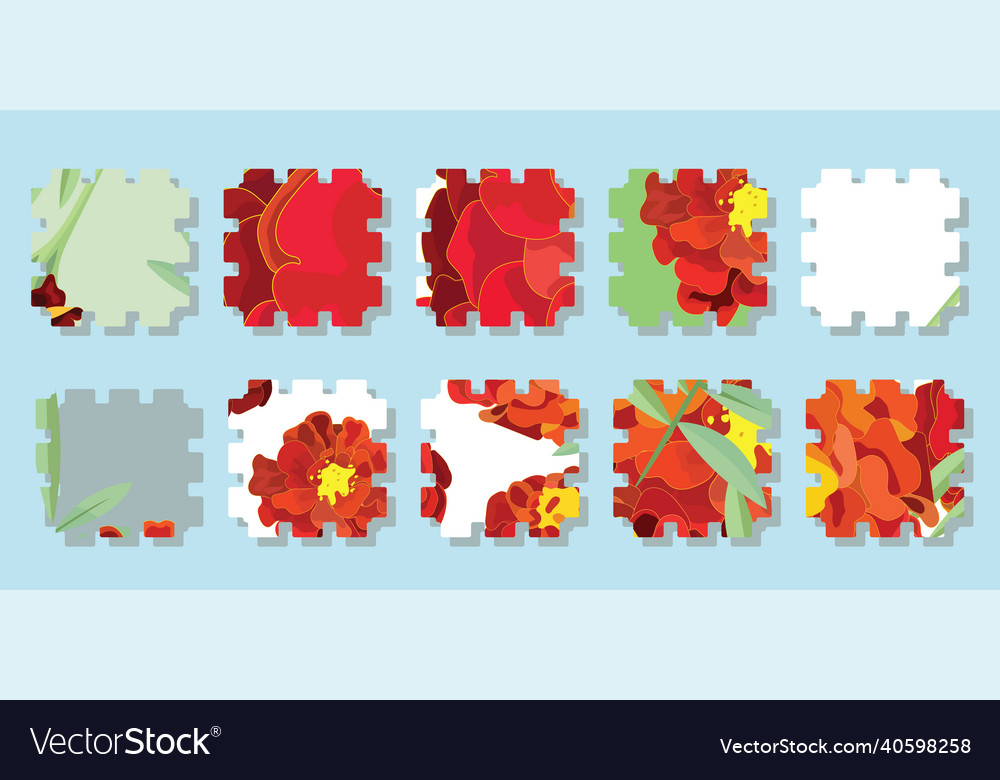 Orange calendula symbol of the mexican holiday vector image Orange calendula symbol of the mexican holiday