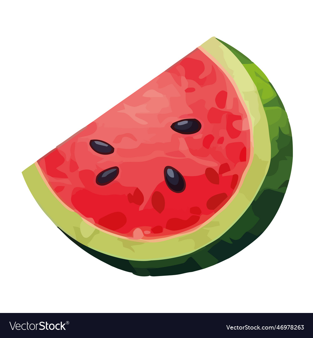 Juicy watermelon slice ripe and fresh summer Vector Image