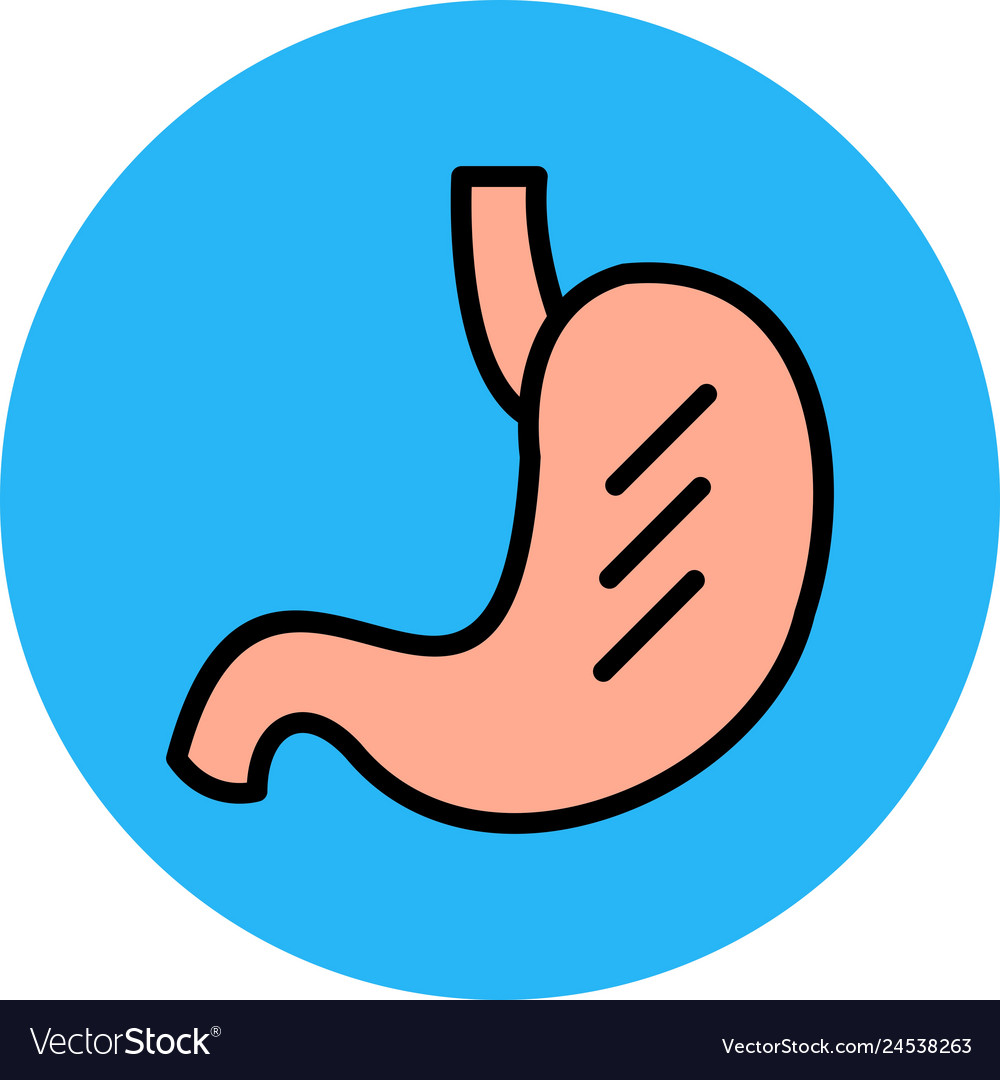 Stomach icon Royalty Free Vector Image - VectorStock